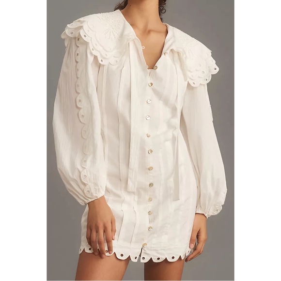 FARM RIO ANTHRO NWT White Embroidered Peter Pan Collared Long Sleeve Mini Dress - Picture 5 of 17